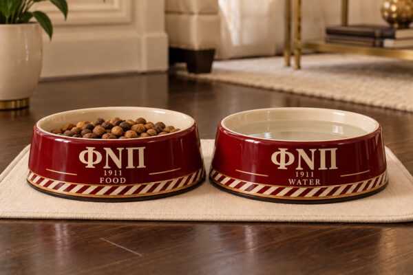 Dog Bowls